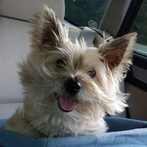 Meet your Posher, Rebecca